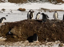 Victoria sobre el pecado