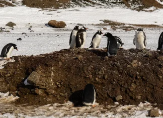 Victoria sobre el pecado
