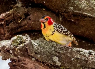 La vida que Dios recompensa