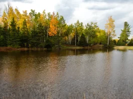 Un símbolo del perdón