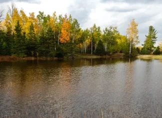 Un símbolo del perdón