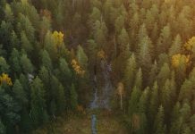 Entendiendo la Biblia