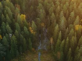 Entendiendo la Biblia