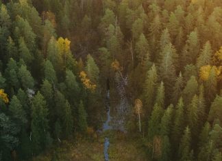 Entendiendo la Biblia