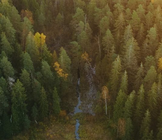 Entendiendo la Biblia