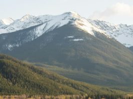 Jesús: nuestro lugar de descanso