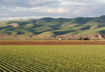 Lectura, escritura y Jesús