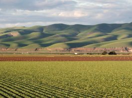 Lectura, escritura y Jesús