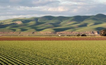 Lectura, escritura y Jesús