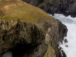 No se ofende fácilmente