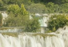 Herederos de la salvación de Dios