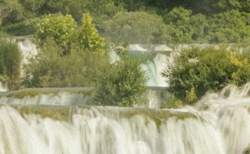 Herederos de la salvación de Dios