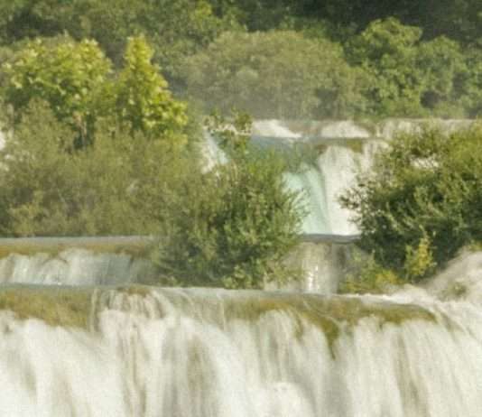 Herederos de la salvación de Dios