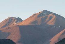 Elefantes ayudadores