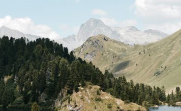 Un nuevo corazón en Cristo
