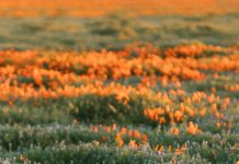 Hecho para hacer el bien para Dios