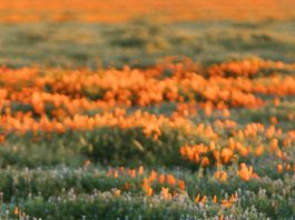 Hecho para hacer el bien para Dios