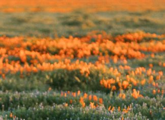 Hecho para hacer el bien para Dios