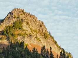 Hacer la paz en Jesús