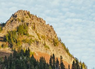Hacer la paz en Jesús