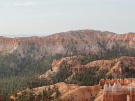 Habilidades y talentos dados por Dios