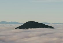 Programar nuestra mente