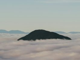 Programar nuestra mente