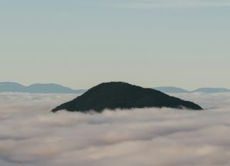 Programar nuestra mente