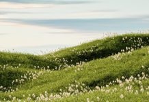 Dios nunca nos pierde