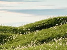 Dios nunca nos pierde