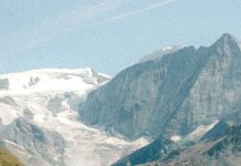 Belleza de la adversidad