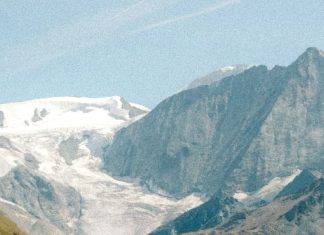 Belleza de la adversidad