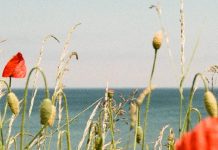 No murmurar contra Dios