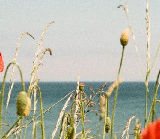 No murmurar contra Dios