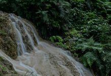 Dios con nosotros año tras año