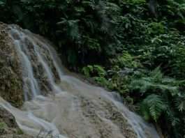 Dios con nosotros año tras año