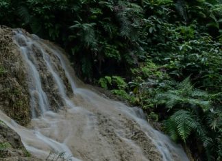 Dios con nosotros año tras año