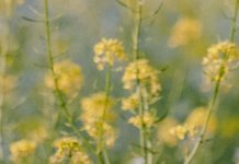 Olvidar nuestros pecados