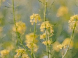 Olvidar nuestros pecados