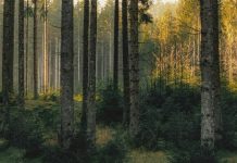 Recordatorios útiles del Espíritu