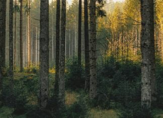 Recordatorios útiles del Espíritu