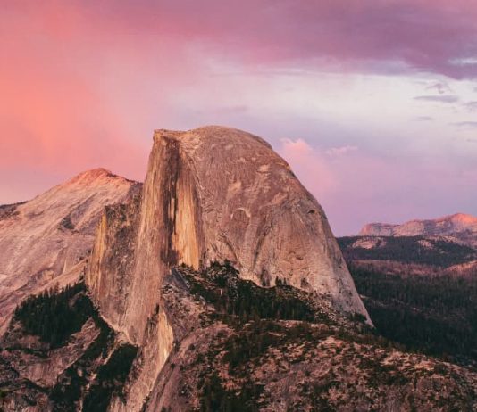 Del lamento a la alabanza