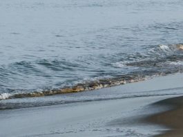 Revestidos de Cristo