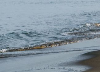 Revestidos de Cristo