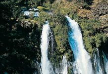 Amar a otros con el amor de Dios