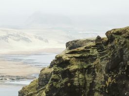 Acción; no distracción