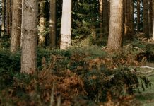 Confiar de verdad en Dios