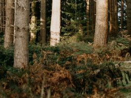 Confiar de verdad en Dios