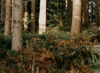 Confiar de verdad en Dios