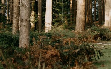 Confiar de verdad en Dios